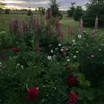 度假居 Pikkjaerve Puhkemaja Tilsi