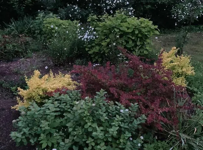 Pikkjaerve Puhkemaja Tilsi