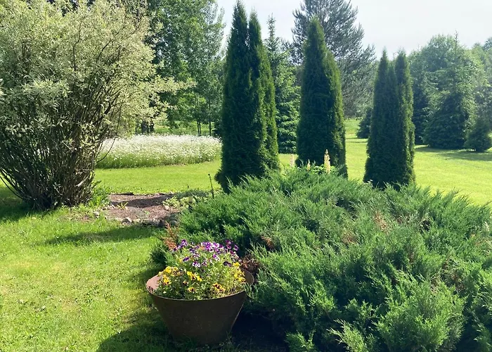 Dom wakacyjny Pikkjaerve Puhkemaja