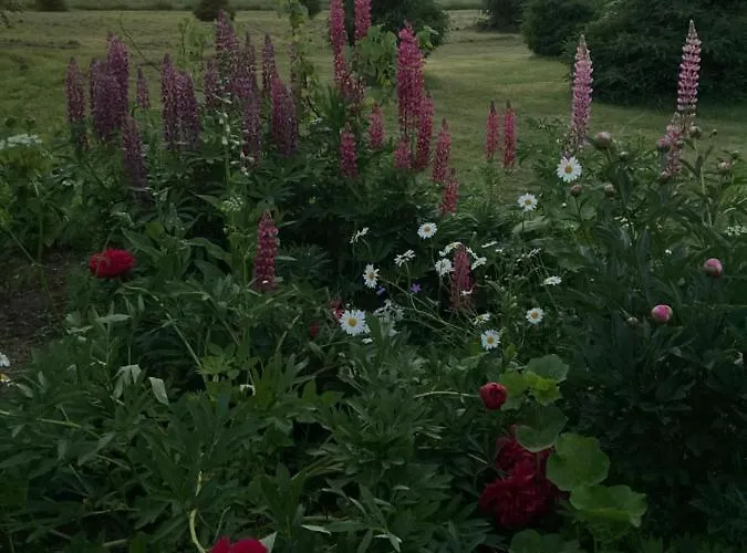Dom wakacyjny Pikkjaerve Puhkemaja Tilsi